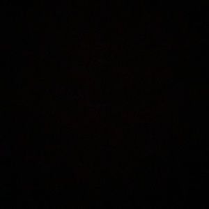 Meet your Posher, Jake